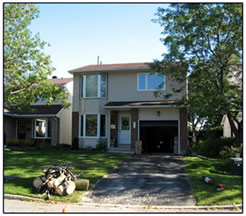 Diseased tree removal after